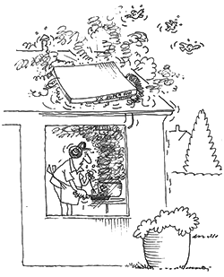 overophed 3