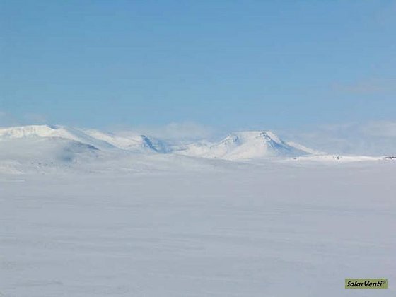 rostaajaure
