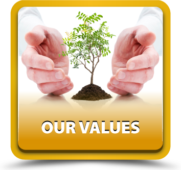 icon our values