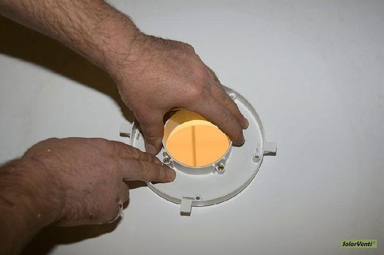 dsc
