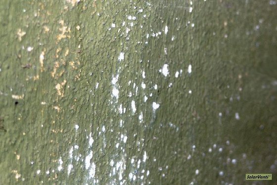 wall  03